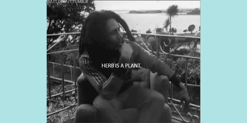 Ways To Tell 4 8 Clues That Your Boss Smokes Weed