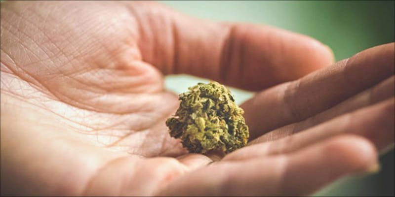 Why Microdosing May 1 Why Micro Dosing May Be the Future of Medical Cannabis