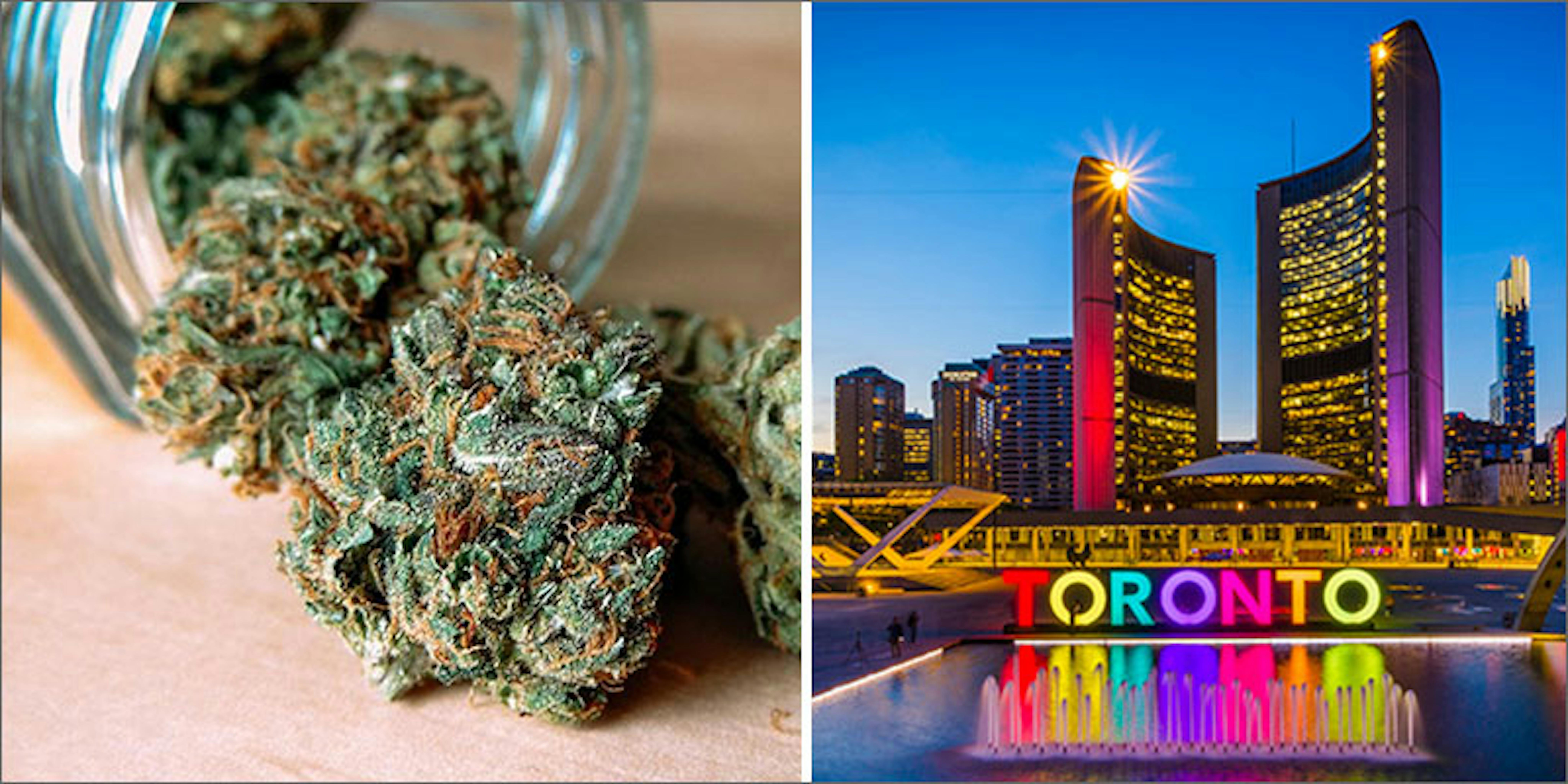 Best Dispensaries In Toronto Herb