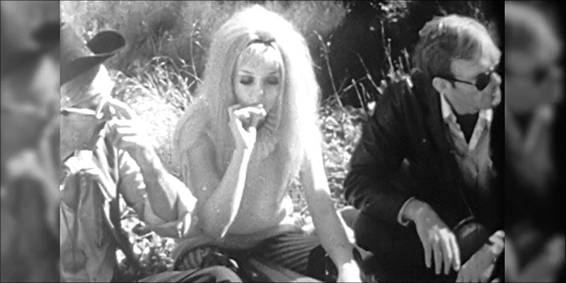 10 Things Youll 5 10 Things Youll Understand If You Smoked Grass In The Hippie Days