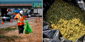 Freeway Litter Cleanup Crew Find 15 Pounds Of Dumped Weed