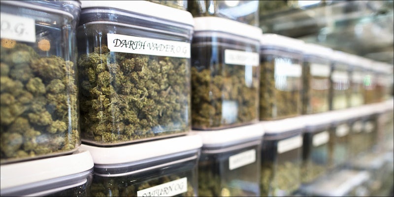 Landmark Study Shows 1 Landmark Study Shows Legal Cannabis Actually Reduces Crime