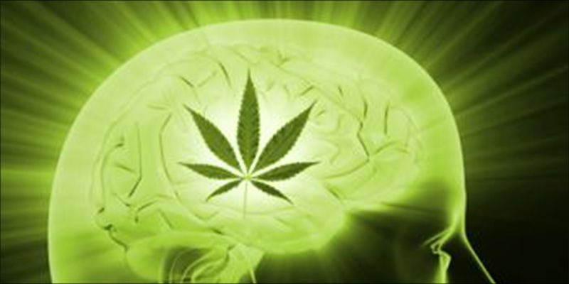 Studies Show That 1 Studies Show That Cannabis Treats Migraines Better Than Pharmaceuticals