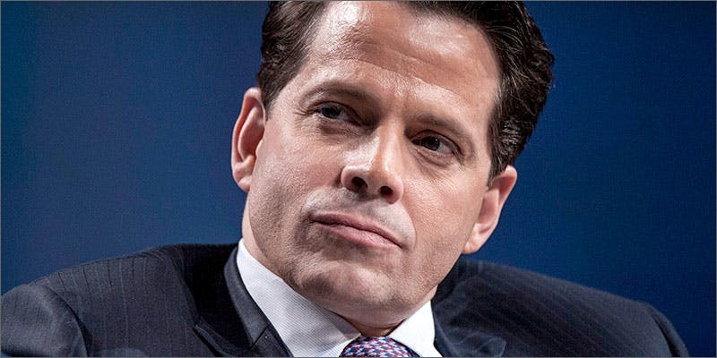 anthony New White House Communications Director Thinks Cannabis Creates Zombies