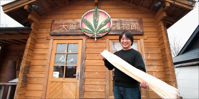 Cannabis The Fabric 3 Prehistoric Cannabis Seeds Have Been Discovered In Japan