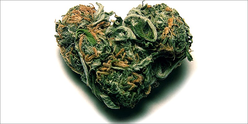 Study On Marijuana 5 New Study On Cannabis And Heart Health Has Sparked Debate