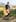 080715 KEREMEOS 1 833 Edit Edit.jpg Babies Need Cannabinoids To Grow Into Productive Citizens