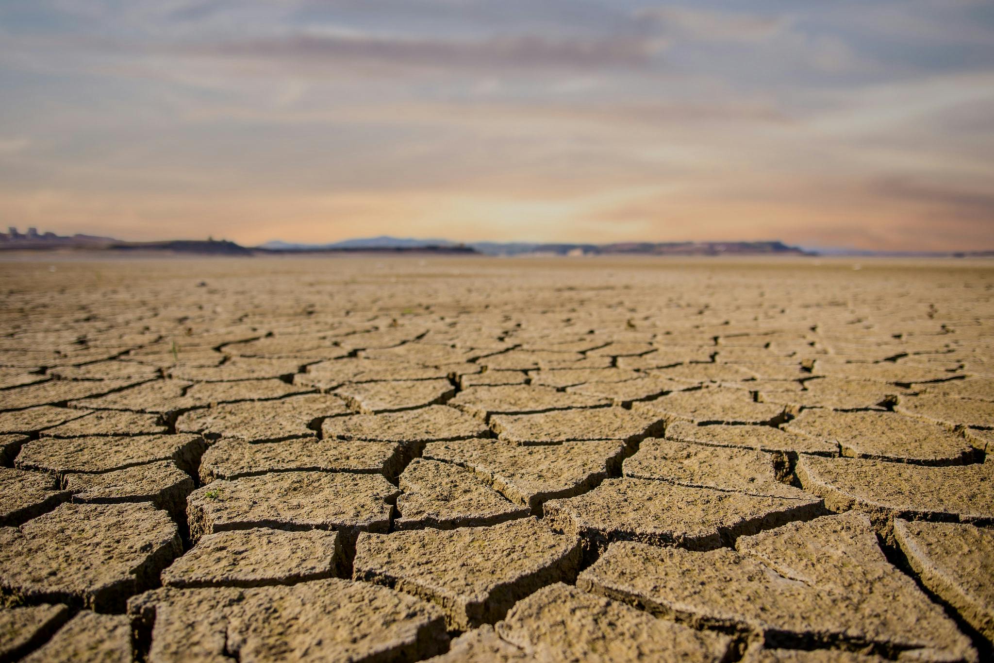 32686776783 cad607c85d k Underground Weed Growers Are Drastically Contributing to California Drying Up