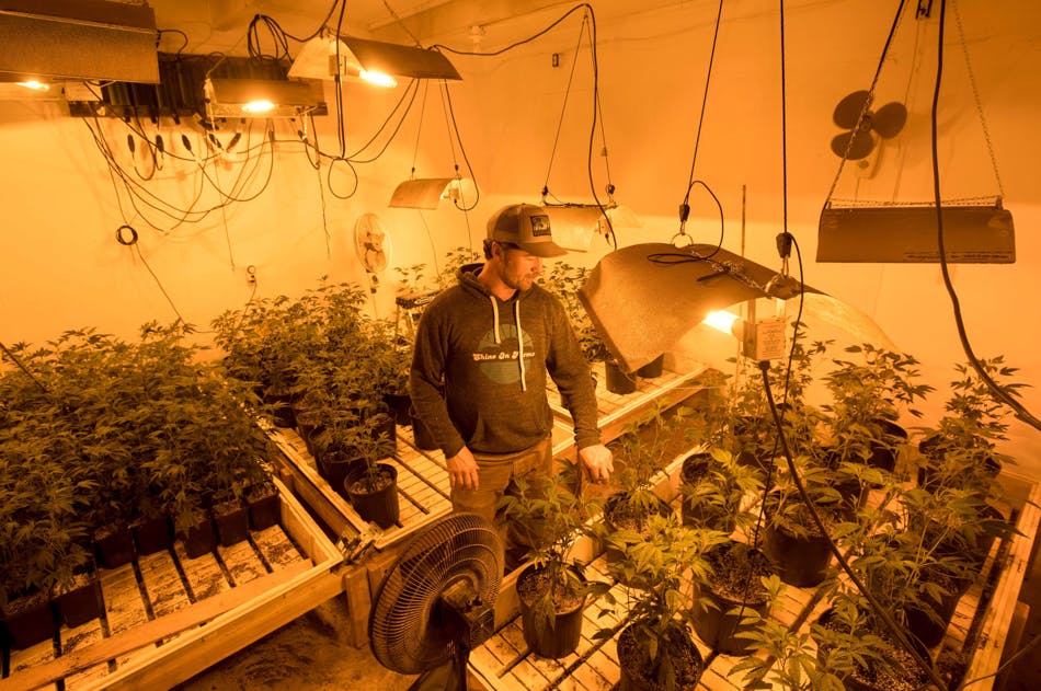 Abandoning The Emerald Triangle 2 of 5 Despite Legalization, Paramilitary Style Raids Plague Growers In The Emerald Triangle