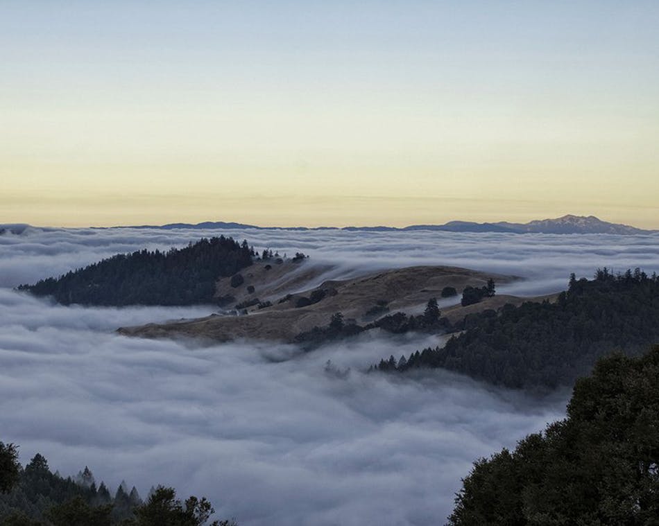 Emerald Triangle 20 of 24 The Nomadic Trimmers Of The Emerald Triangle (Photos)