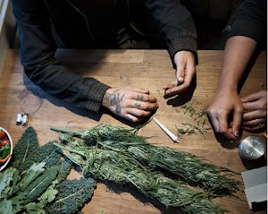 The Nomadic Trimmers Of The Emerald Triangle (Photos)