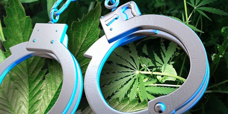 FBI Report Rise 2 Latest FBI Report Ignores Rise Of Cannabis Arrests Across America