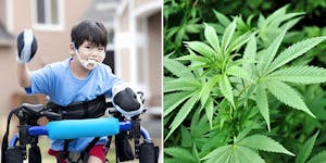 New Study Finds Cannabis Helps Children Suffering From Cerebral Palsy