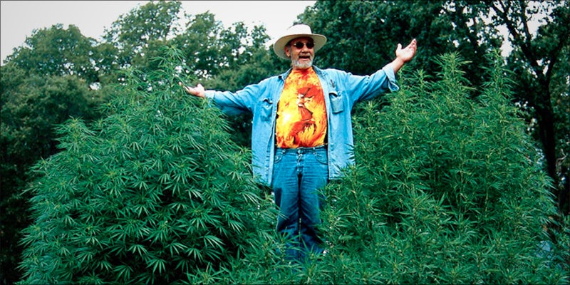 Police Sued After 1 Cannabis Crusader Sues Cops After Raid On Rastafarian Cannabis Farm