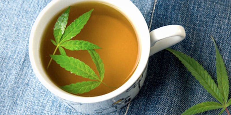 The Common Link 2 Science has Discovered A Common Link Between Breast Milk, Cannabis And Tea