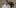 Things Only You 3 Cannabis Oil Helped This Woman Beat Terminal Brain cancer