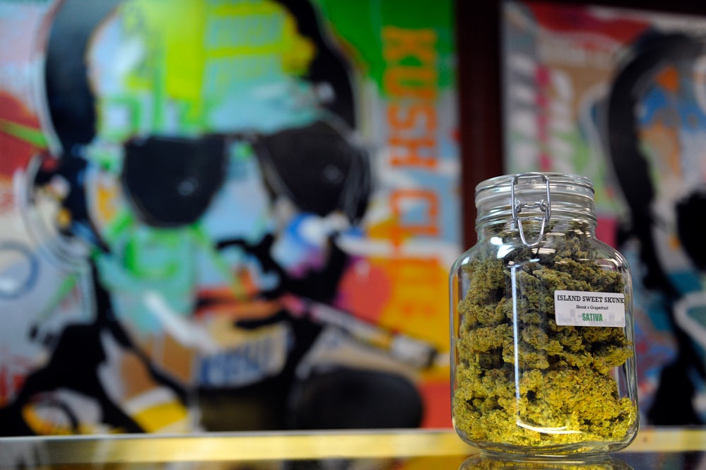 Tweed Hersheys Factory Larges Weed Marijuana Farm 2 of 2 The University of Denver is Teaching Students How To Smoke Weed And Get Paid To Write About It