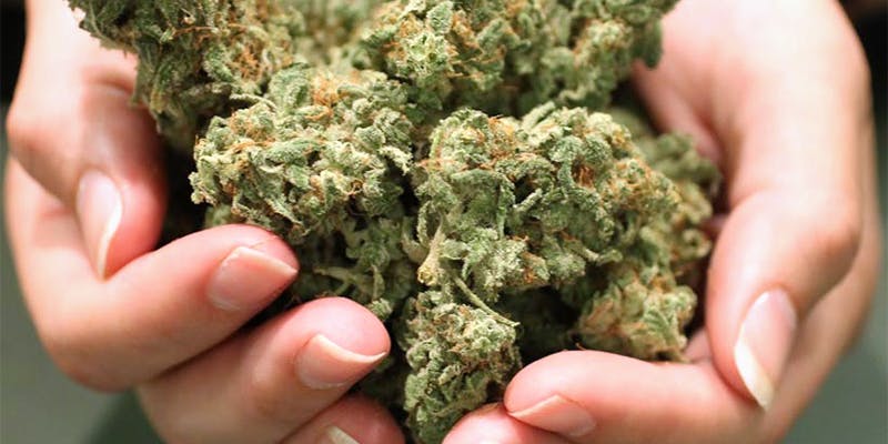 What The Research 1 Heres What the Research Says About Cannabis and Rheumatism
