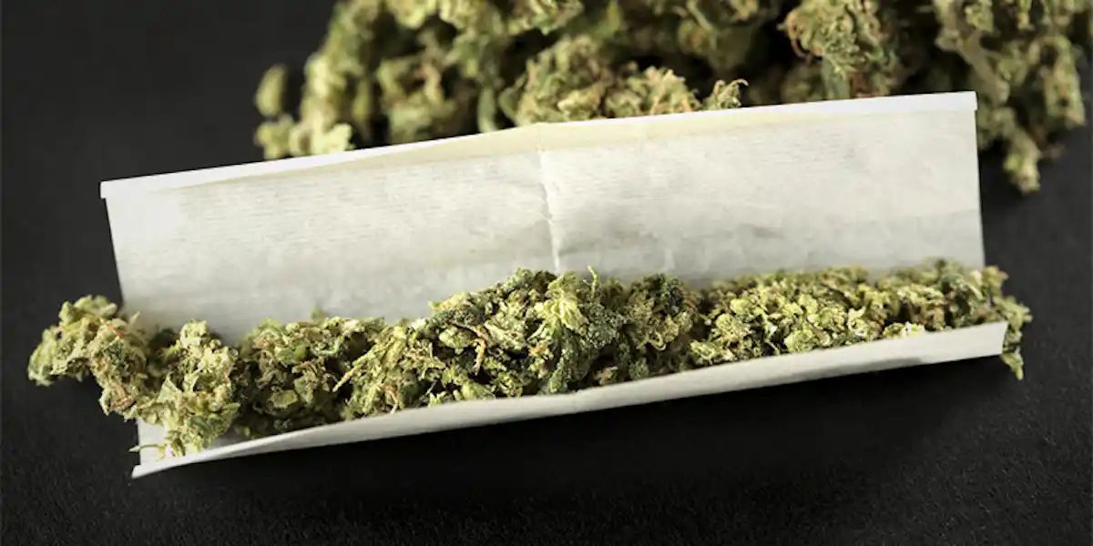 What Can I Use As Rolling Paper? 6 Alternatives To Rolling Paper