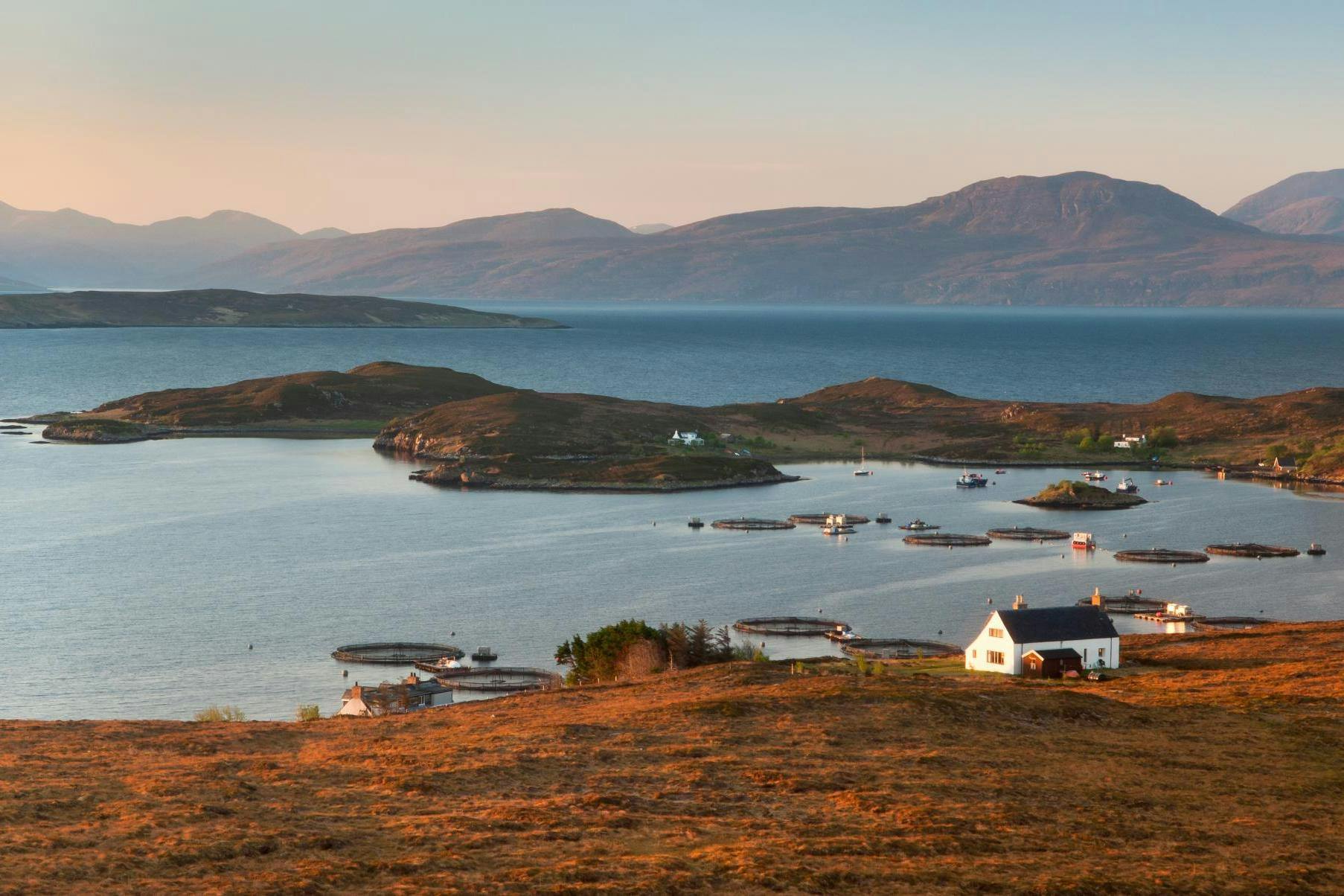 taneramorcredittimwinterburn This Self sufficient Island In Scotland Is For Sale And Its a Marijuana Growers Paradise