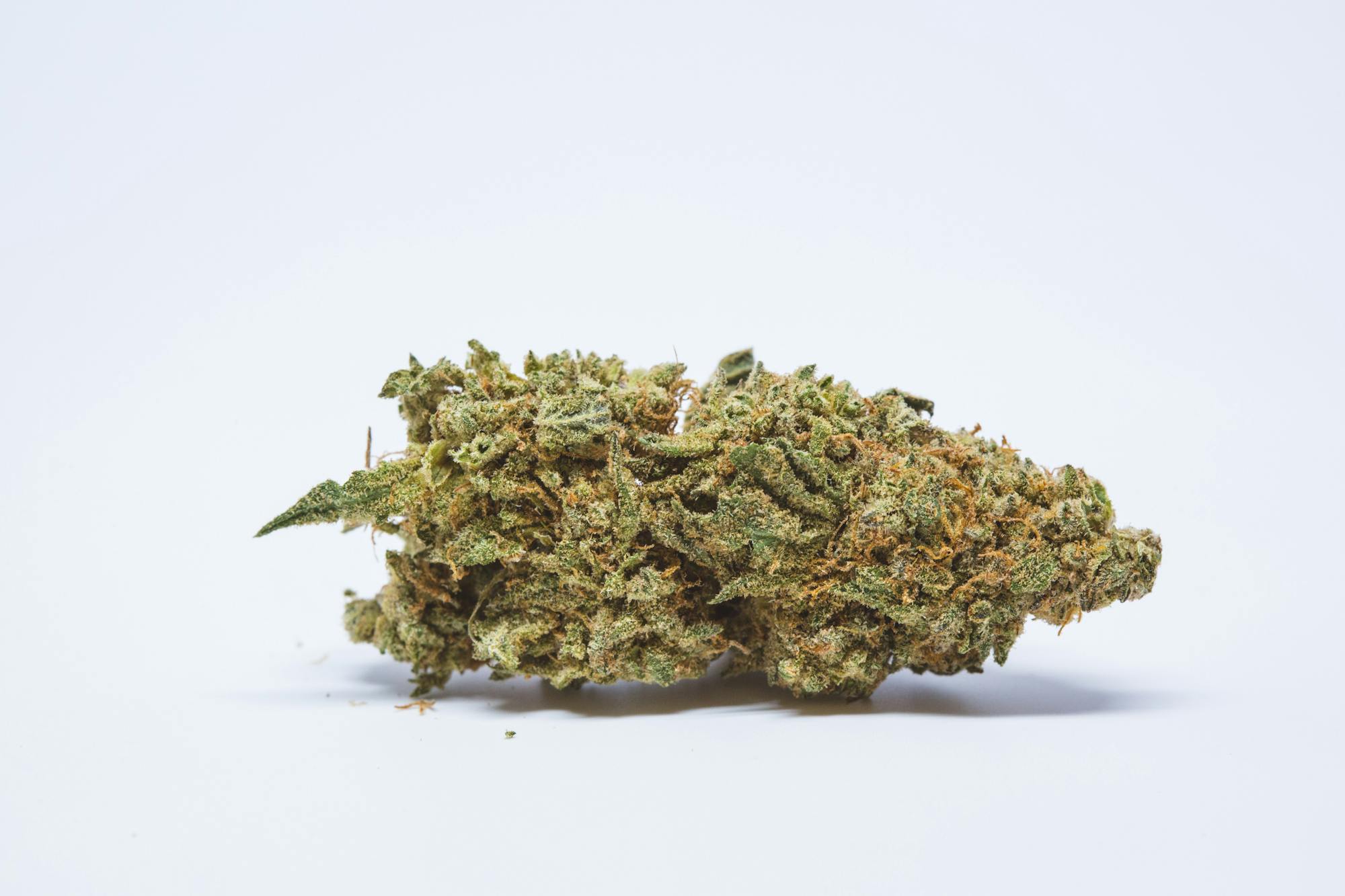 Black Cherry Cheesecake Strain of Marijuana Weed Cannabis Herb Herb