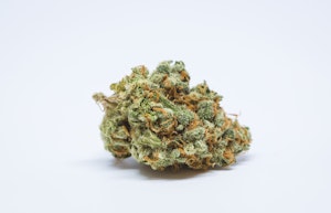 Euphoria Marijuana Strain