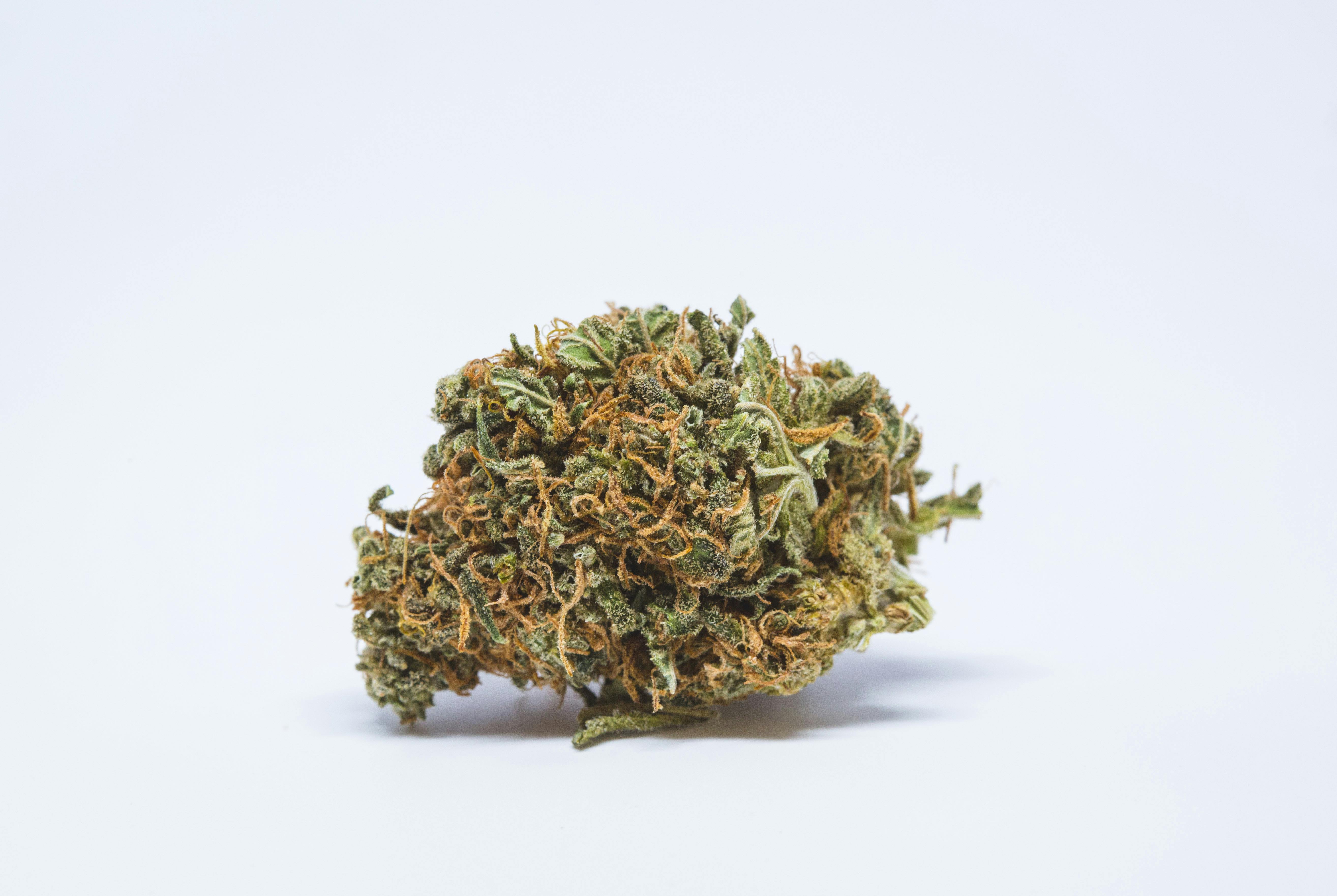 Willy's Wonder Weed; Willy's Wonder Cannabis Strain; Willy's Wonder Indica Marijuana Strain