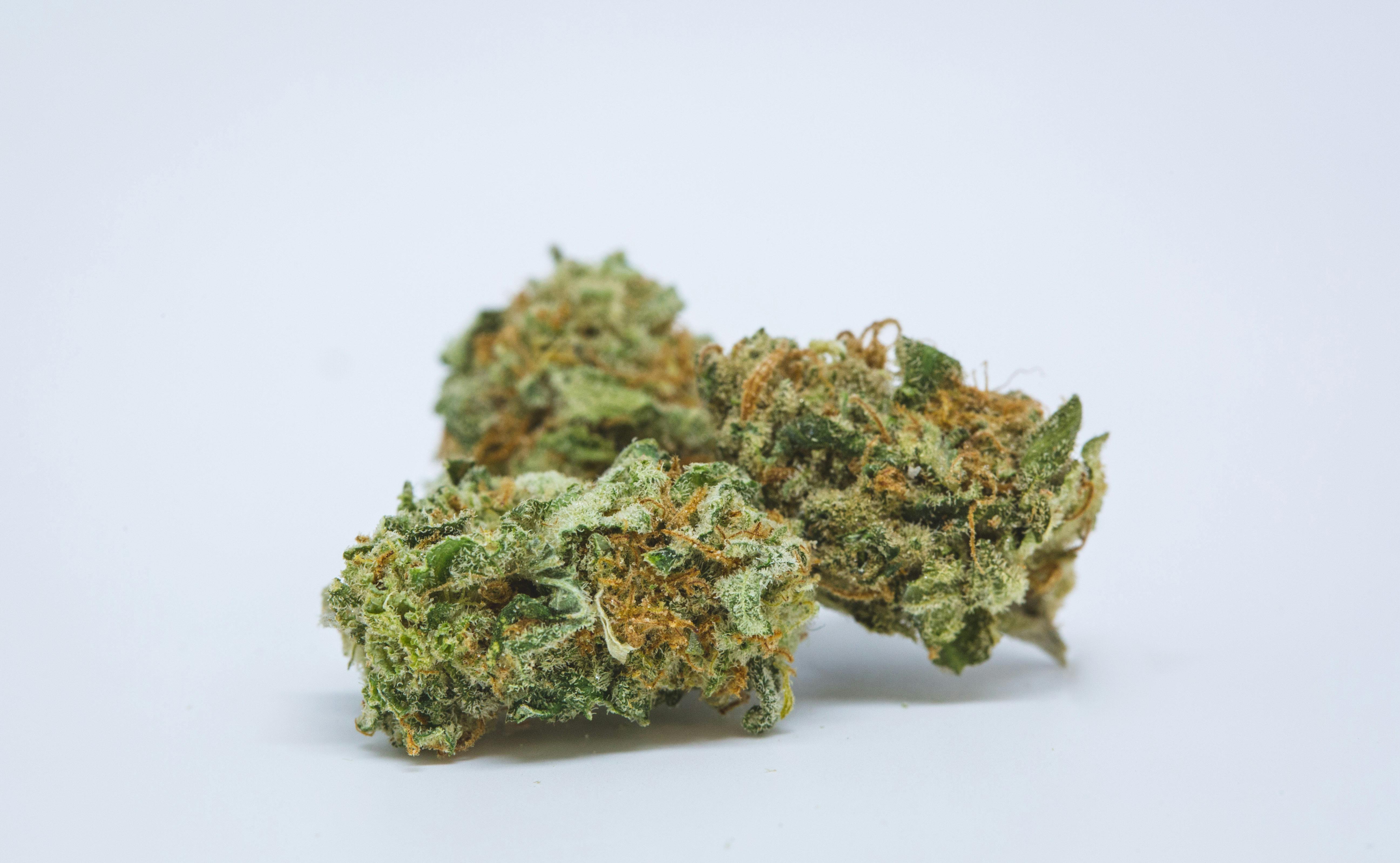 Blue Dream Strains Fibromyalgia