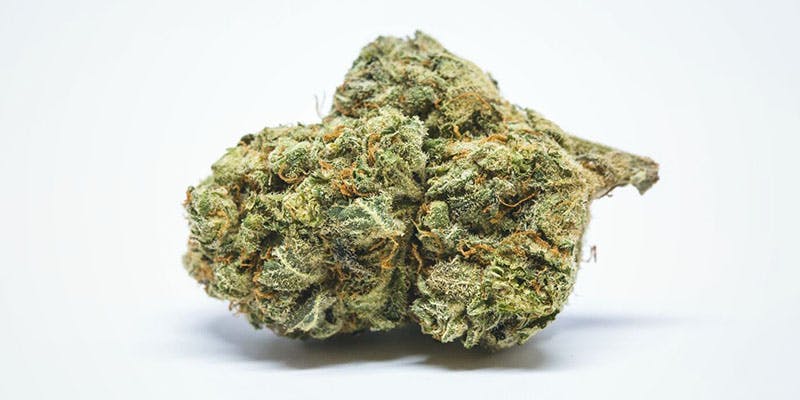 Cinderella These Are The Best Cannabis Strains for ADHD/ ADD