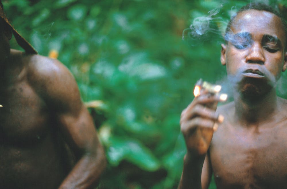 pygmy smoking hemp marijuana grow africa congo