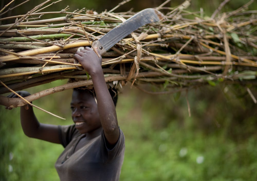 Deep in the heart of the Congo Pygmie Tribes are selling weed to survive 2 of 2 Deep In the Heart Of The Congo, Pygmie Tribes Are Selling Weed To Survive