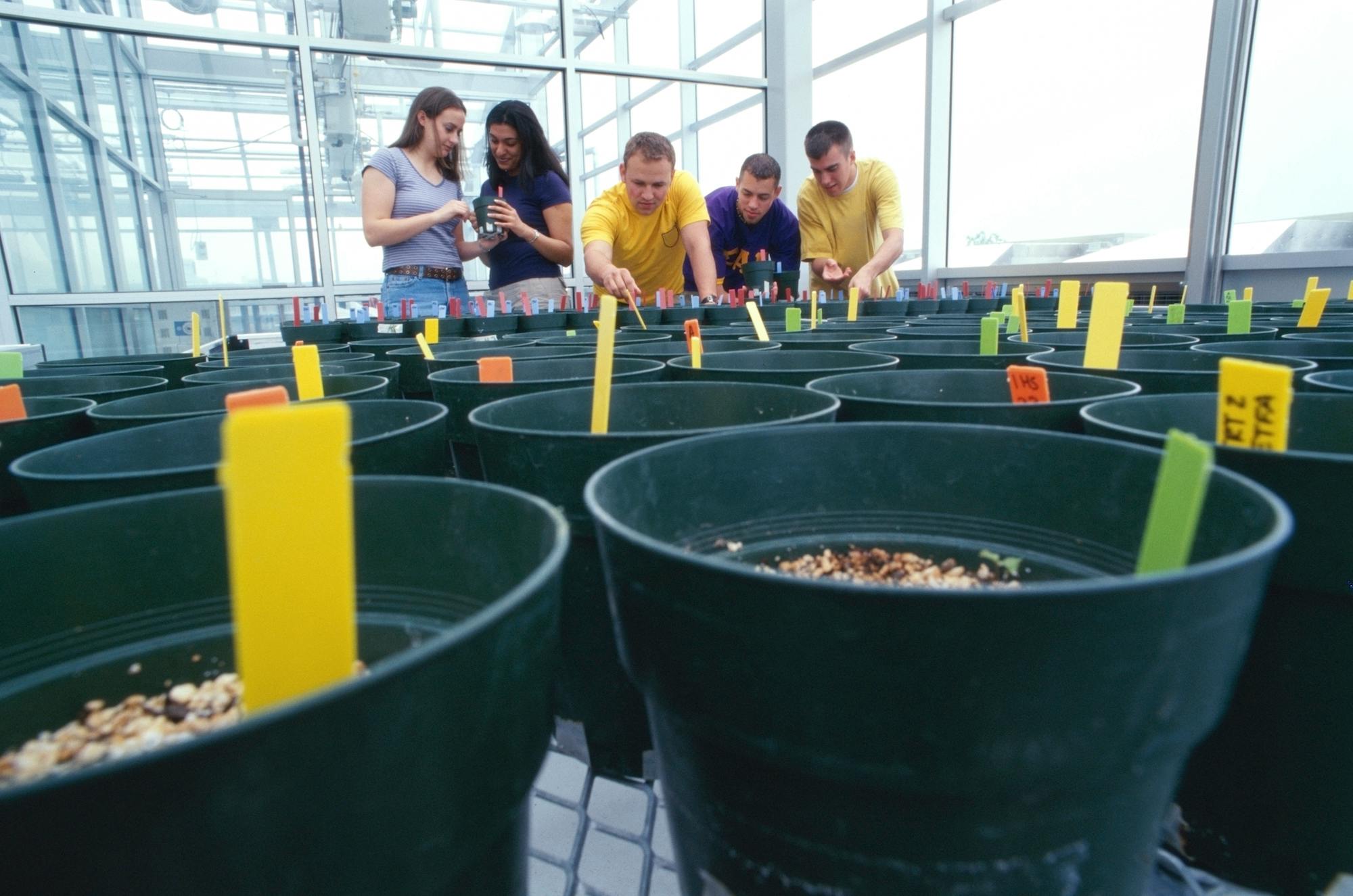 Michigan University Now Offers The FirstEver Marijuana