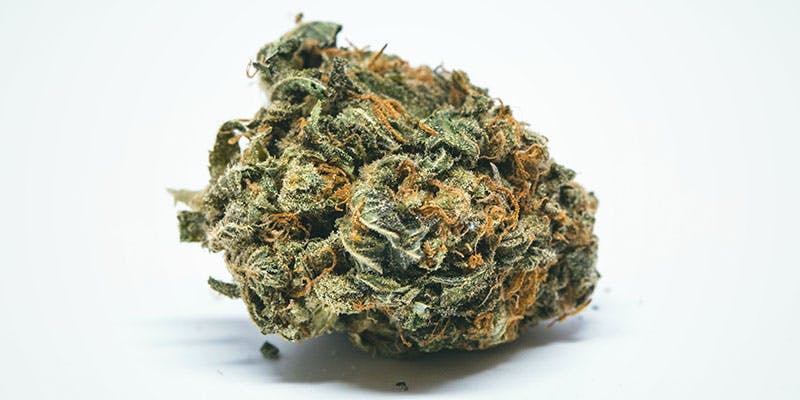 God Green Crack The Best 6 Cannabis Strains for ADD/ADHD in 2023