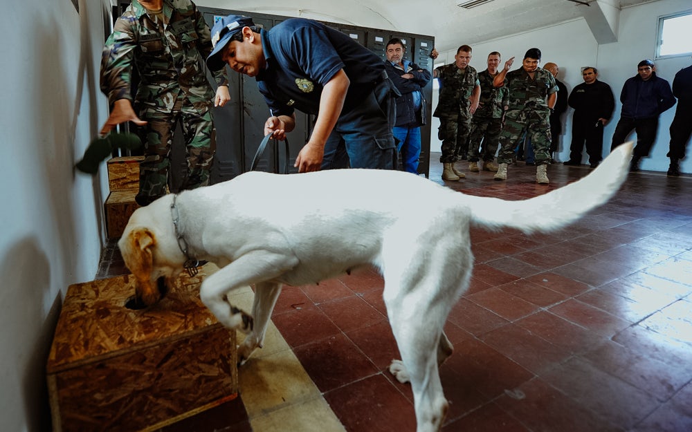 New Colorado Police Dogs Being Trained to Ignore Pot 1 of 2 Police Dogs Are Now Being Trained To Ignore The Sweet, Sweet Smell Of Weed