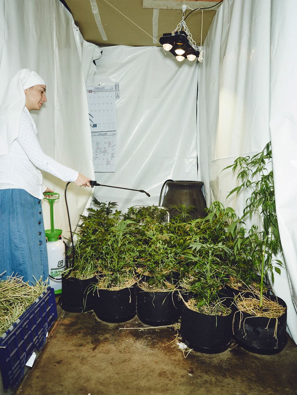 Small 16 of 17 The Mother Teresa of Marijuana: These Nuns Found God In Milky Bong Tokes (Photos)