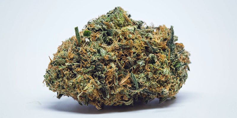 Sour Diesel These Are The Best Cannabis Strains for ADHD/ ADD