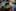The clash between ancient Ayahuasca rituals and modern science 5 of 5 Grab your weed, grab your snacks, theres going to be a Lord Of The Rings TV series