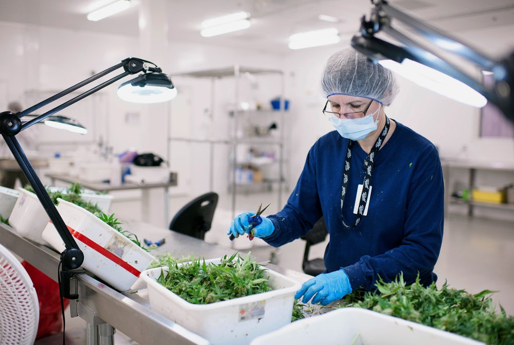 Tweed Hersheys Factory Larges Weed Marijuana Farm 2 of 5 An 83 Year Old Mormon Senator Snuck Weed Puns Into His Pro Marijuana Bill Just For The Hell Of It