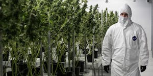 This Visionary Turned a Hershey Chocolate Factory Into The World’s Largest Marijuana Grow-Op