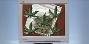 The Very First Thing Bought On The Internet Was A Big Bag Of Weed