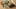 1511302868897 Lede The US Military is waving cannabis use and letting medical marijuana patients serve