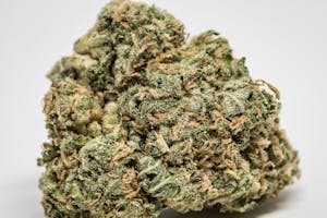 Afghani Bullrider Marijuana Strain