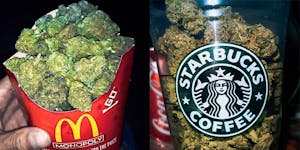 Colorado’s Dispensaries Officially Outnumber Its Starbucks and McDonald’s for the Third Year in a Row