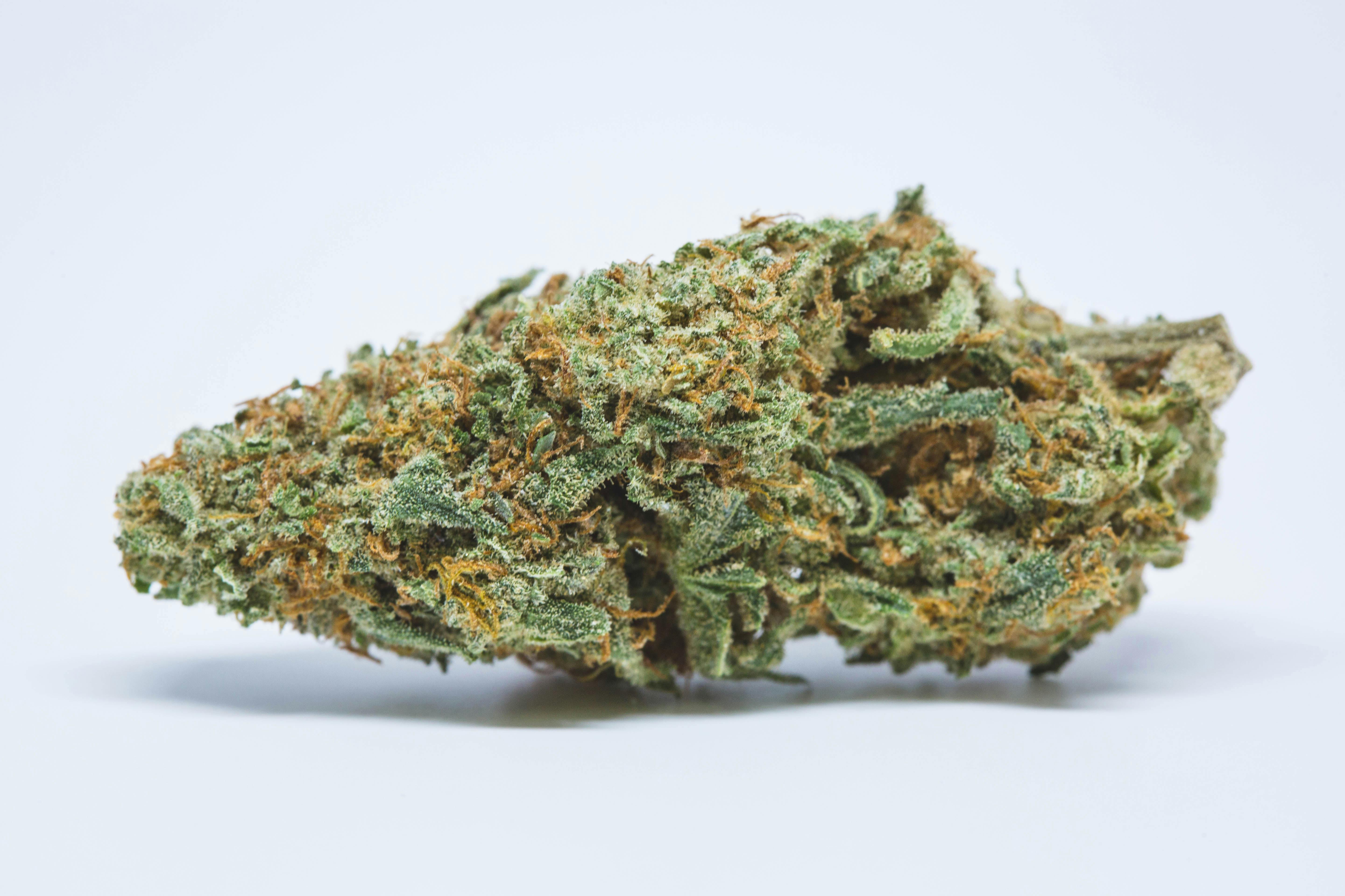 Vortex Weed; Vortex Cannabis Strain; Vortex Sativa Marijuana Strain
