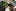 GettyImages 658207094 What needs to happen for Vermont to legalize marijuana