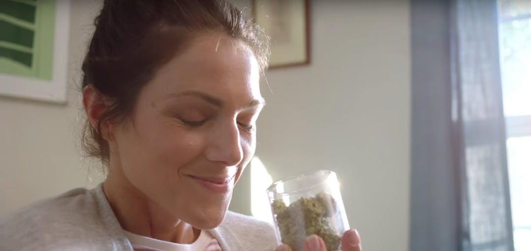 Pot Company Mocks Prescription Drug Ads In Genius Parody Video 5 of 6 Weed Company Takes Shots At Big Pharma Ads In This Genius Parody Video