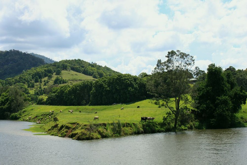 The One Australian Town Where Weed is Legal 2 of 2 Inside The Only Australian Town Where Weed Is Considered Legal