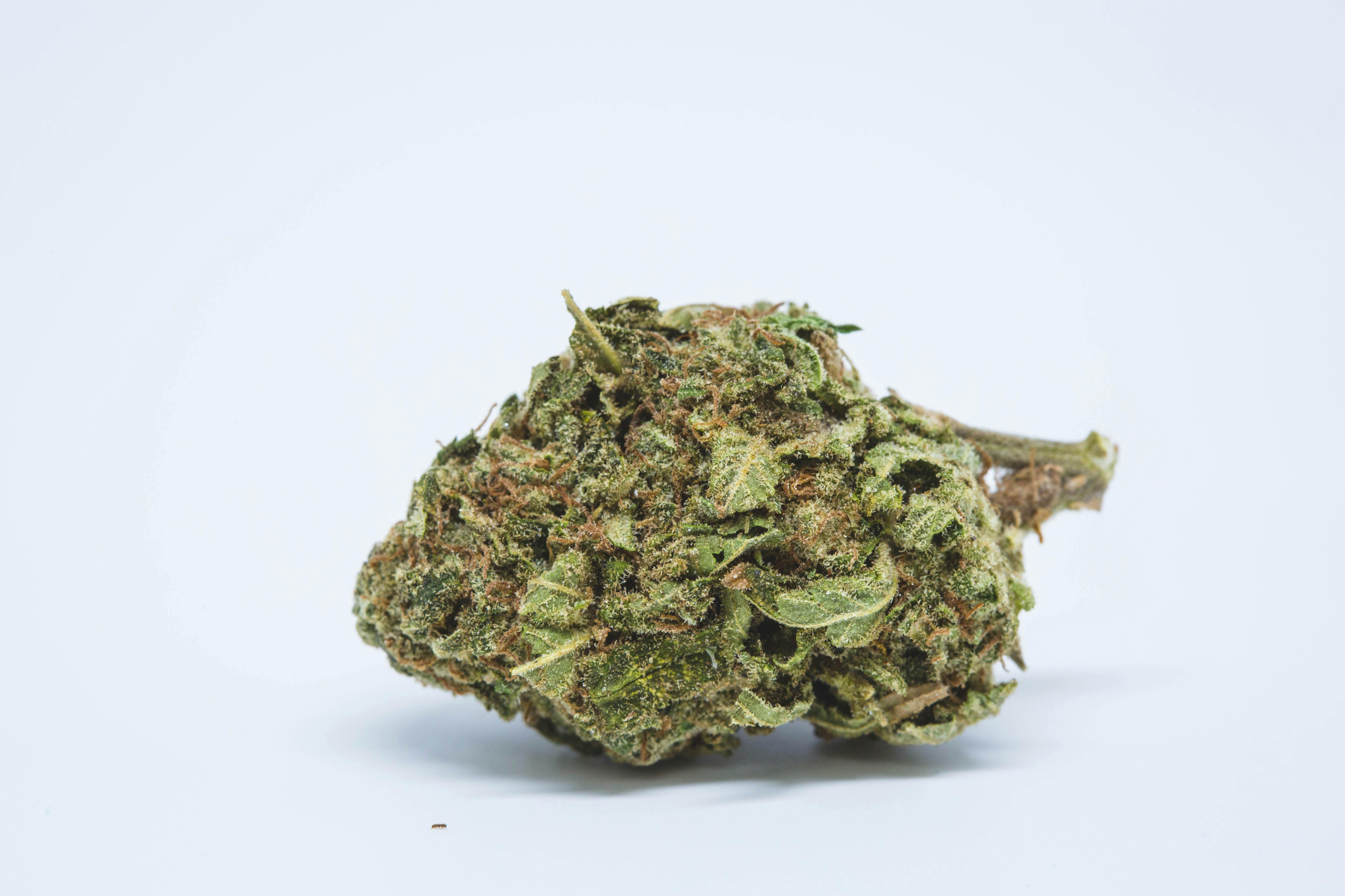 Blue Hawaiian Weed; Blue Hawaiian Cannabis Strain; Blue Hawaiian Hybrid Marijuana Strain