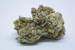 Power Plant Marijuana Strain