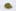 Tangerine Weed; Tangerine Cannabis Strain; Tangerine Hybrid Marijuana Strain